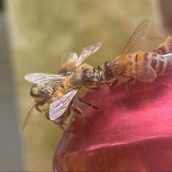 Meet your Posher, Matthew - Picture 15 of 15